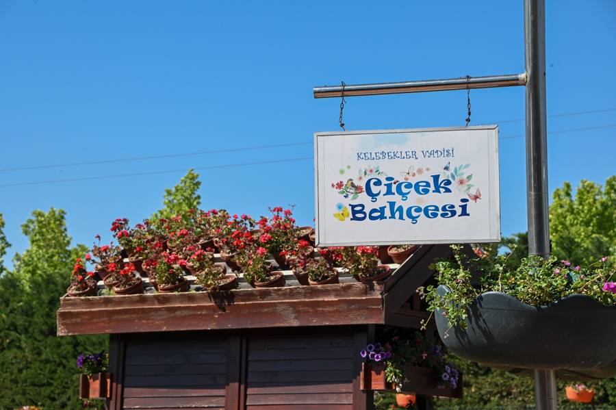 Türkiye'de daha büyüğü yok! Selçuklu Çiçek Bahçesi yeniden kapılarını açtı 24